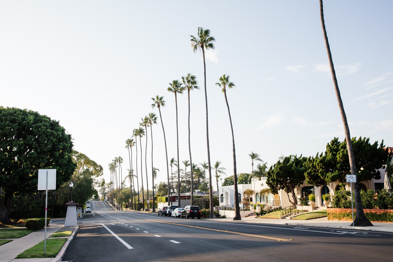 Palm-lined street in Mission Hills